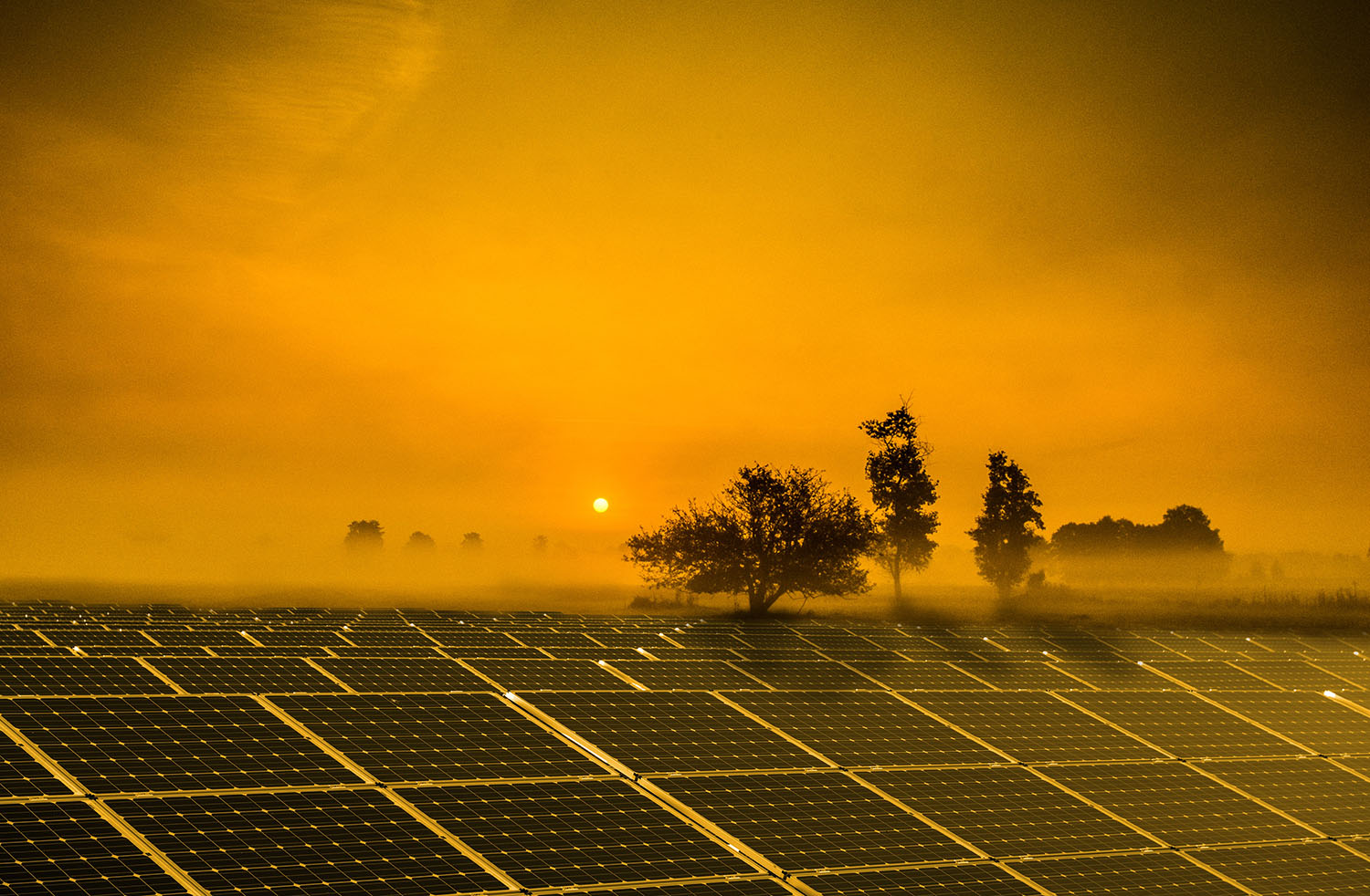 agrivoltaic